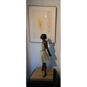 1_raveel_roger__het_geluk_vliegt